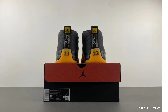 Jordan 130690-070  130690-070  “University Gold” Air 12 0226